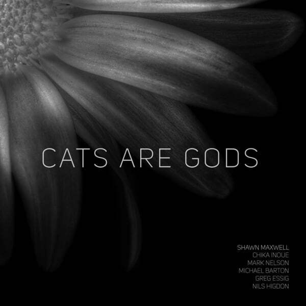 Cover art for Cats Are Gods
