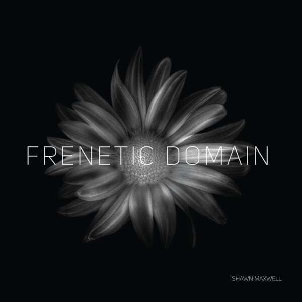 Cover art for Frenetic Domain